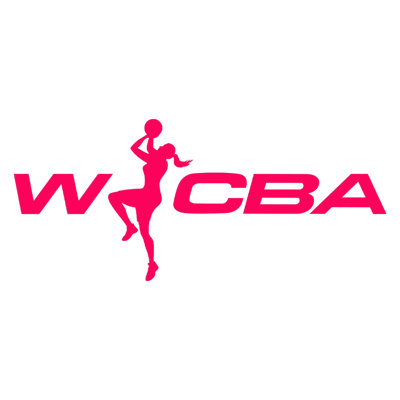WCBA 北京首钢园vs东莞新彤盛20250208
