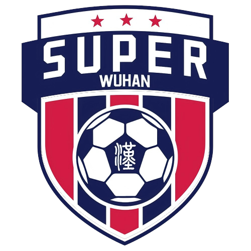 武汉城市足球超级联赛 黄陂区5.0新洲区20250823