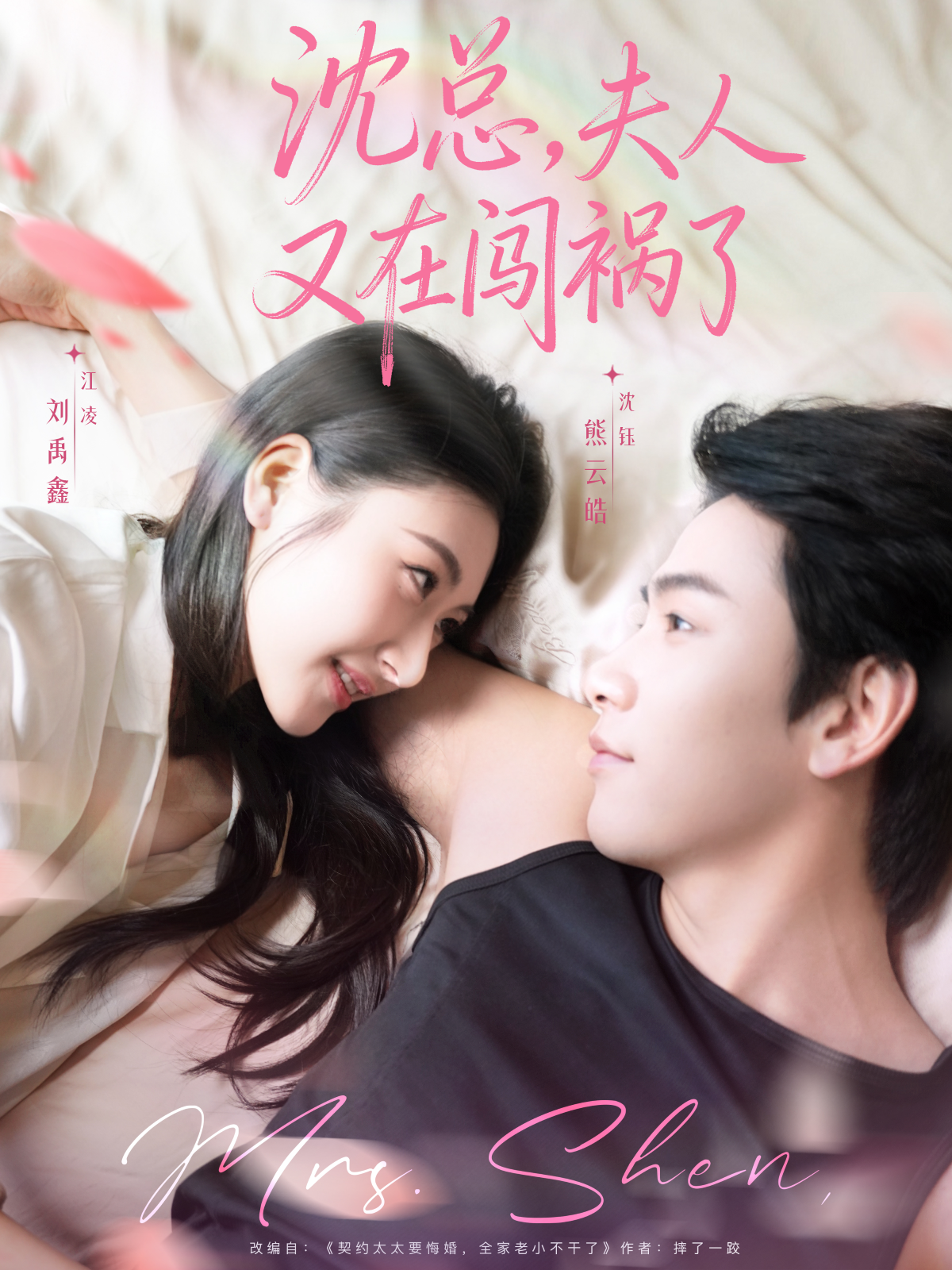 沈总，夫人又在闯祸了