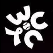 世界网球洲际对抗赛  本西奇0-2莱巴金娜20251228