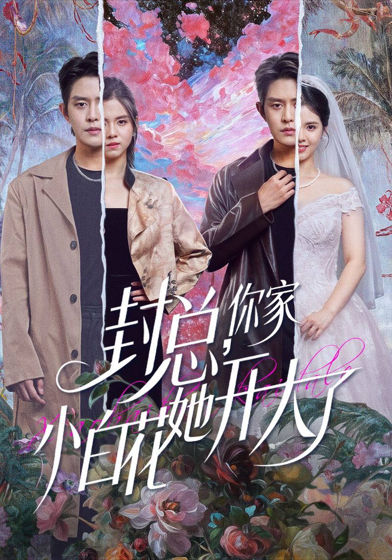 封总，你家小白花她开大了